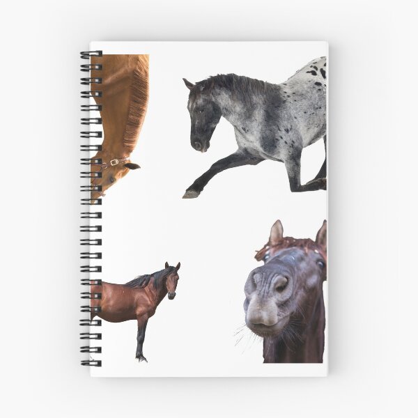 Item preview, 1st Sarcastic  Horse Stickers Bundle, Horse Lover Essential Package. Horses Stickers. Cute Animals Lover And Animal Adorer Sticker Set. Basic Mustang Sticker Kit. Cute Equestrian And Cowboy Packet designed and sold by AnimalStickers-.