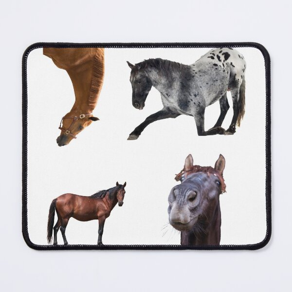 Item preview, 1st Sarcastic  Horse Stickers Bundle, Horse Lover Essential Package. Horses Stickers. Cute Animals Lover And Animal Adorer Sticker Set. Basic Mustang Sticker Kit. Cute Equestrian And Cowboy Packet designed and sold by AnimalStickers-.