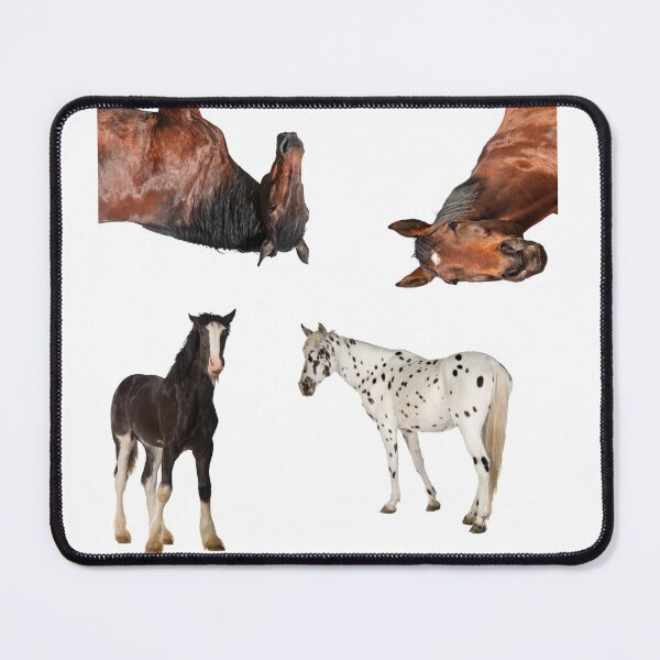 Item preview, 2nd Sarcastic  Horse Stickers Bundle, Horse Lover Essential Package. Horses Stickers. Cute Animals Lover And Animal Adorer Sticker Set. Basic Mustang Sticker Kit. Cute Equestrian And Cowboy Packet designed and sold by AnimalStickers-.