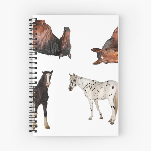 Item preview, 2nd Sarcastic  Horse Stickers Bundle, Horse Lover Essential Package. Horses Stickers. Cute Animals Lover And Animal Adorer Sticker Set. Basic Mustang Sticker Kit. Cute Equestrian And Cowboy Packet designed and sold by AnimalStickers-.