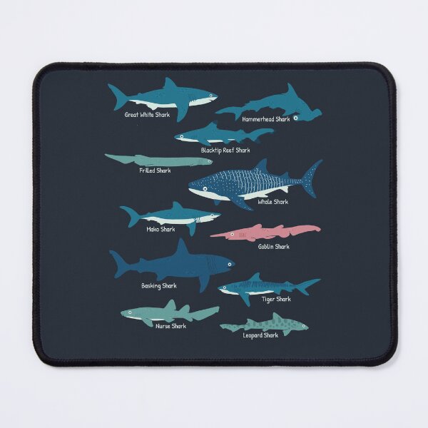 Item preview, Types Of Sharks Educational Collection Marine Biology Gifts designed and sold by JokeGysen.