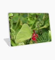 Cloudless Sulpher Laptop Skin