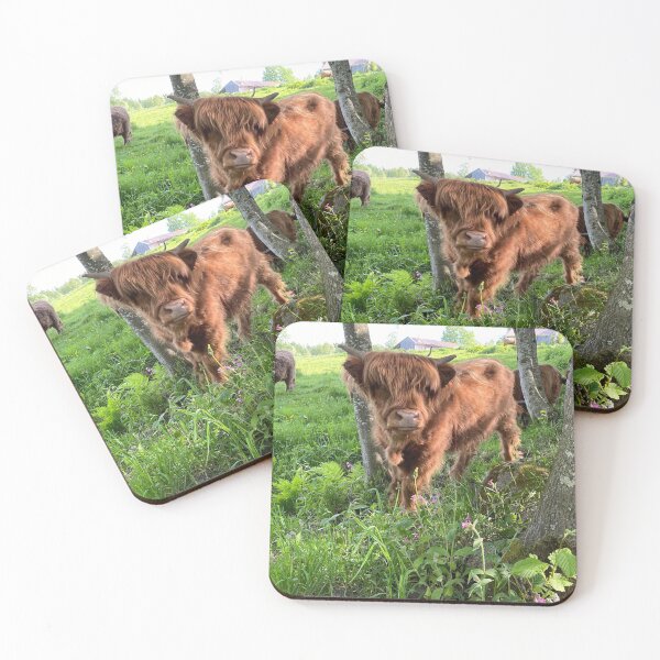 Artikelvorschau, Scottish Highland Cattle Calf 2870 entworfen und verkauft von SaarelaHighland.