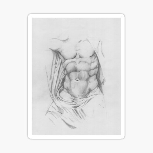 Study: Torso of Zeus Sticker