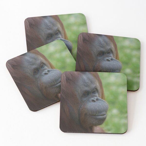 Item preview, Orangutan Mother Portrait designed and sold by rawshutterbug.
