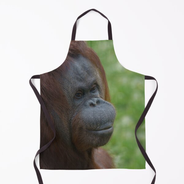 Artikelvorschau, Orang-Utan-Mutter-Porträt entworfen und verkauft von rawshutterbug.