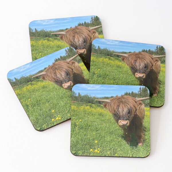 Item preview, Scottish Highland Cattle Calf 2872 designed and sold by SaarelaHighland.