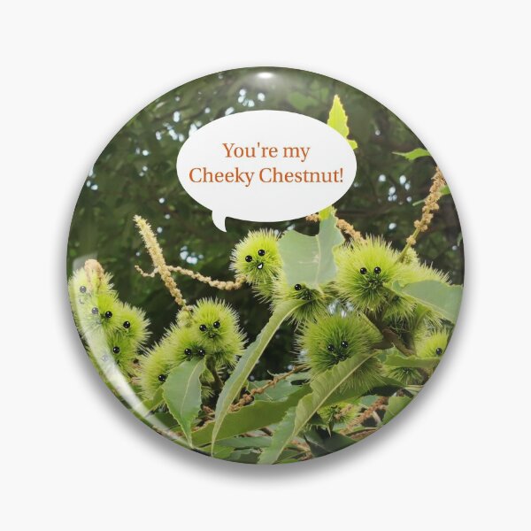 Item preview, You're my Cheeky Chestnut! designed and sold by Bumpulous.