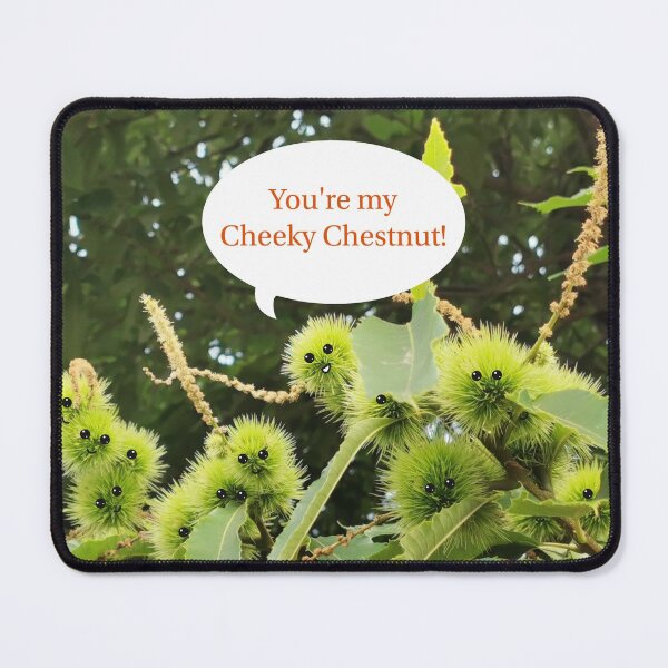 Item preview, You're my Cheeky Chestnut! designed and sold by Bumpulous.