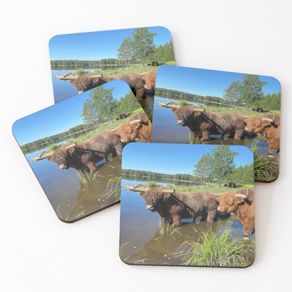 Item preview, Scottish Highland Cattle Bulls in lake 2875 designed and sold by SaarelaHighland.