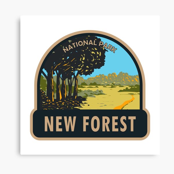 New Forest National Park England Canvas Print