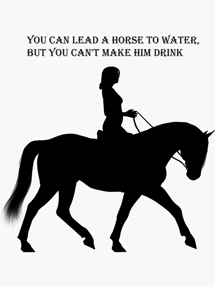 "You can lead a horse to water, but you can't make him drink" Sticker