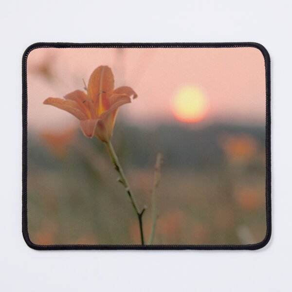 Item preview, Wood Lily At Sunset designed and sold by Bill Spengler's Photographic Thoughts.