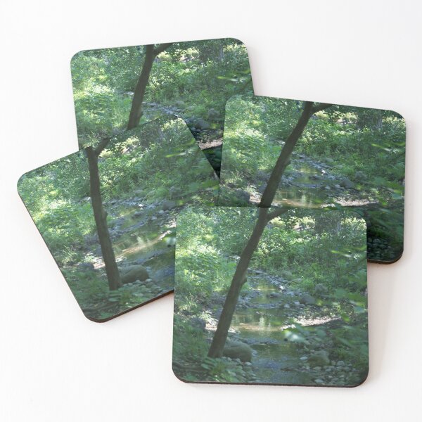 Item preview, Brooklyn Botanical Garden Creek designed and sold by leeslayyy.