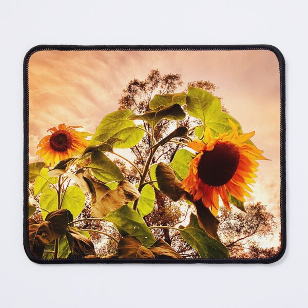 Item preview, Sunflower Sunset designed and sold by lisapicklepizza.