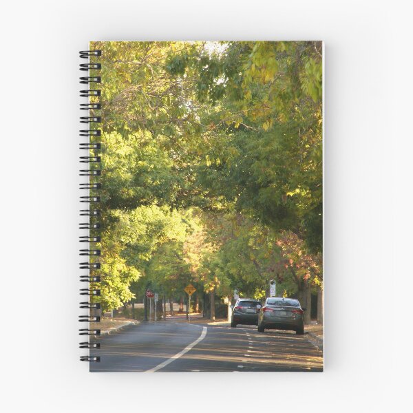 Item preview, Street Framed with Trees  designed and sold by leeslayyy.