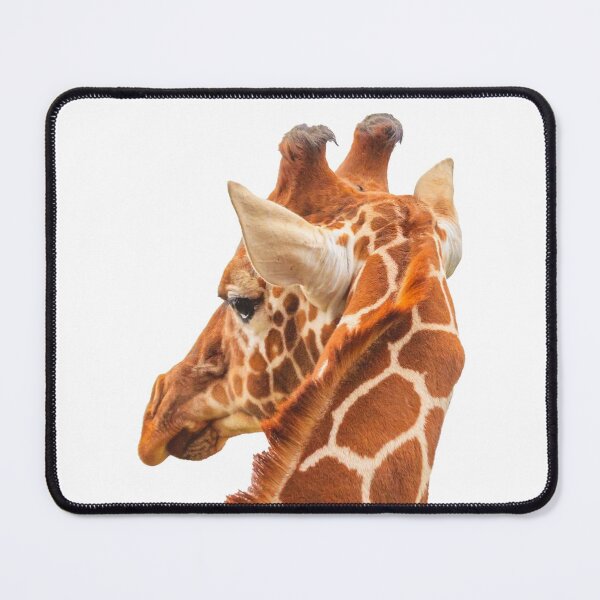 Item preview, He is behind you Giraffe designed and sold by Dalyndigital Photography.