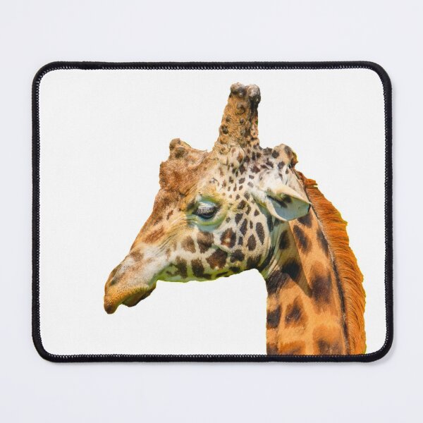 Item preview, Dinosaur Giraffe designed and sold by Dalyndigital Photography.