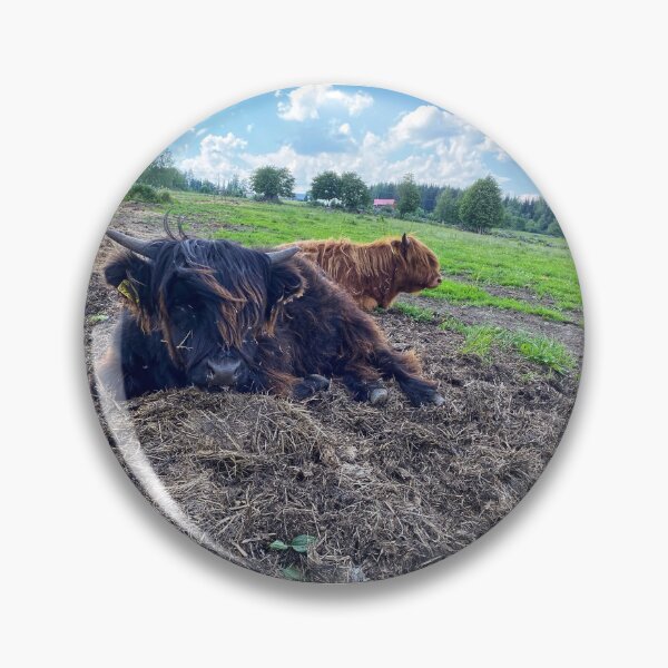 Artikelvorschau, Scottish Highland Cattle Calves 2884 entworfen und verkauft von SaarelaHighland.