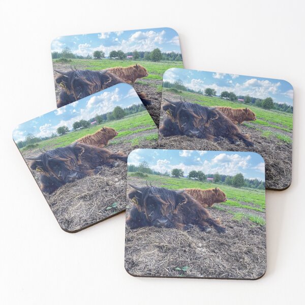 Item preview, Scottish Highland Cattle Calves 2884 designed and sold by SaarelaHighland.