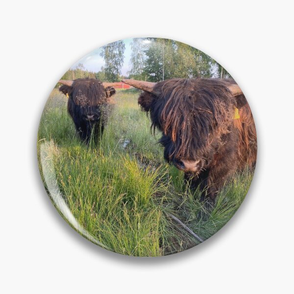 Artikelvorschau, Scottish Highland Cattle Calves 2886 entworfen und verkauft von SaarelaHighland.