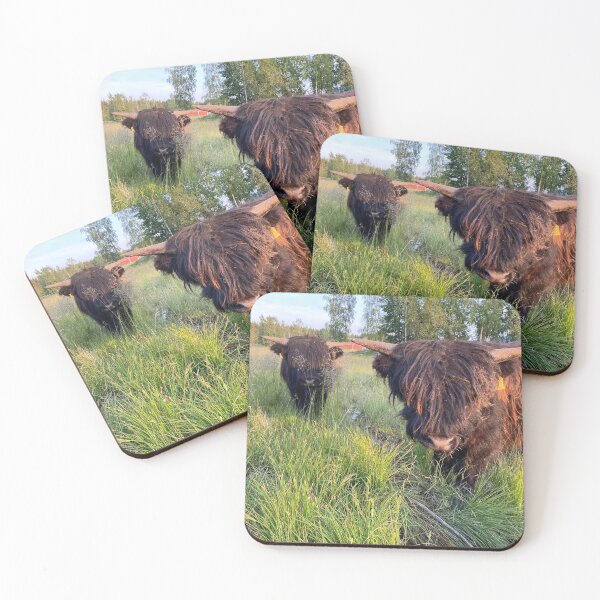 Item preview, Scottish Highland Cattle Calves 2886 designed and sold by SaarelaHighland.