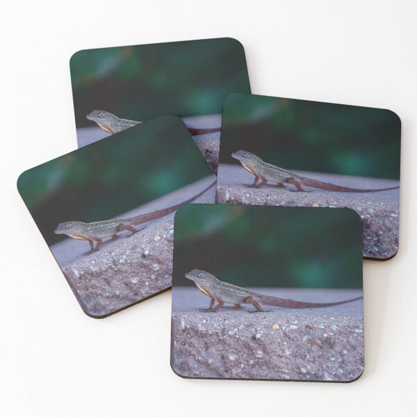 Item preview, Anole Lizard Posing On Concrete designed and sold by SaraMargolis.