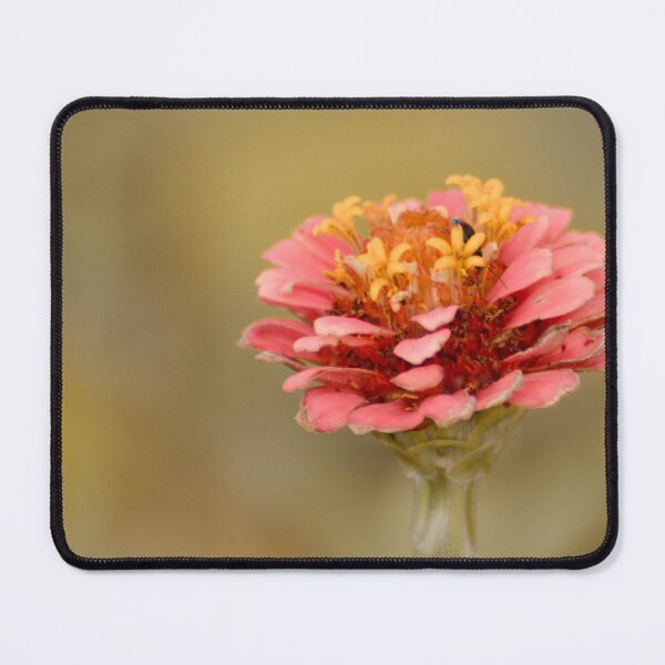 Item preview, Peach Flower designed and sold by lisapicklepizza.