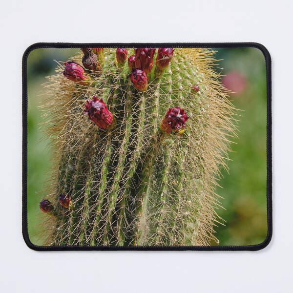 Item preview, Up to the light designed and sold by Kiran-Fine-Art.