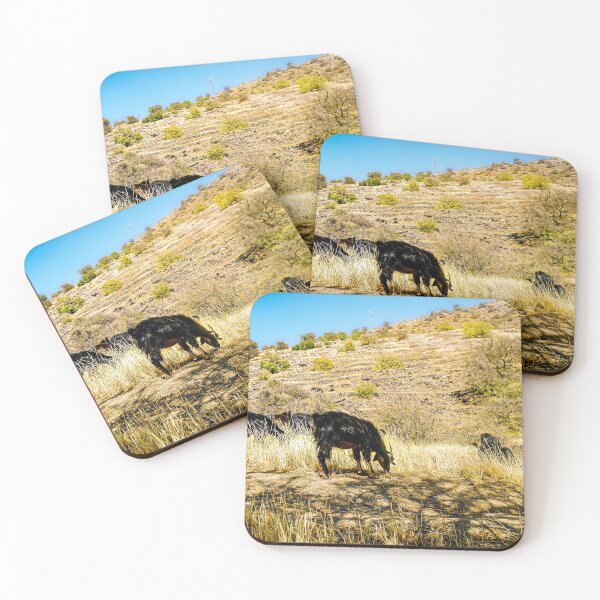 Item preview, A group of black goats grazing desert plants in the open country at noon midday in southwest Morocco designed and sold by Alahyane Said.