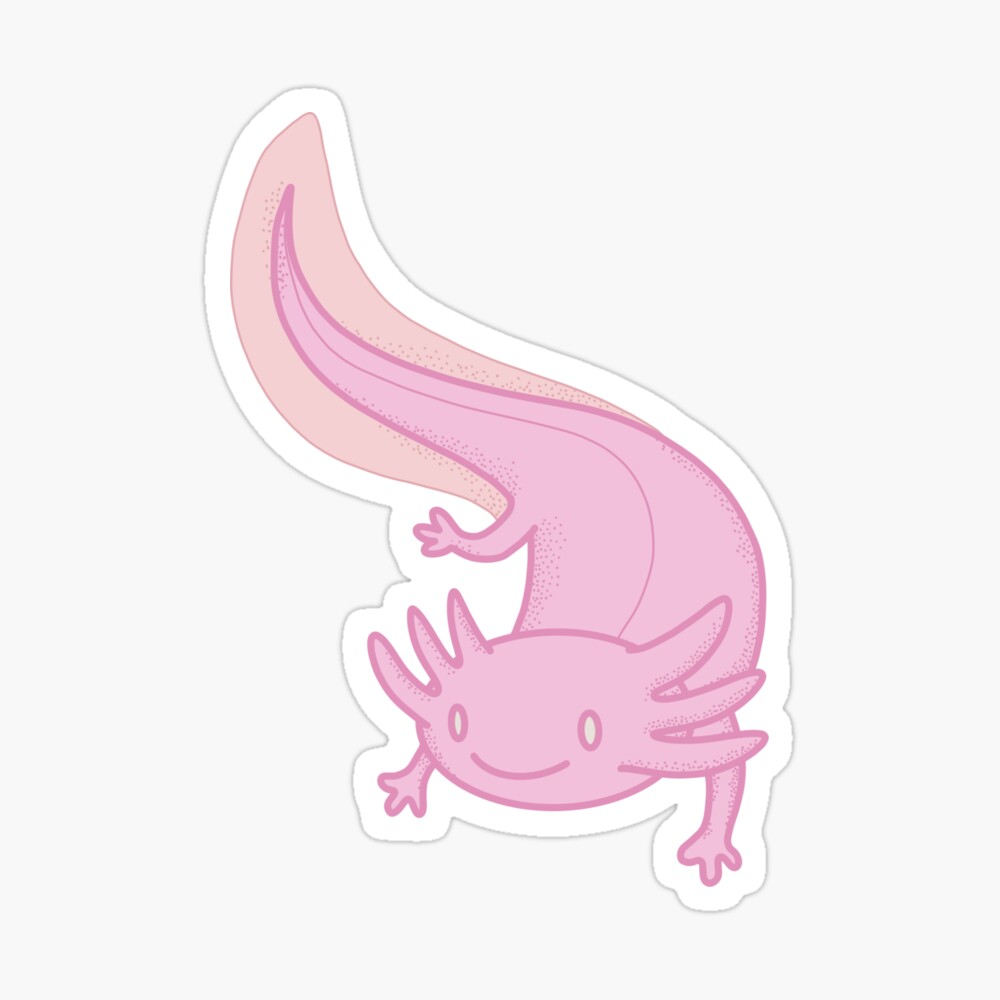 Smiling Cute Baby Pink Axolotl Photographic Print For Sale By Madddesign Redbubble