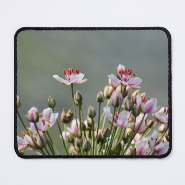Item preview, Flowers designed and sold by lisapicklepizza.