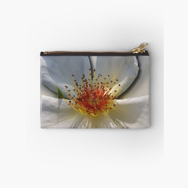 Item preview, 6 designed and sold by peter holme III.