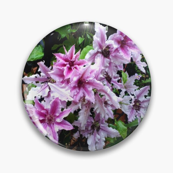 Item preview, clematis designed and sold by OfficeShedInd.