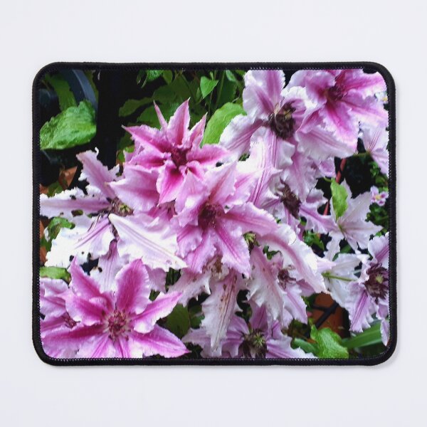 Item preview, clematis designed and sold by OfficeShedInd.