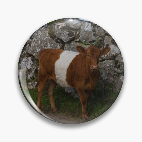 Item preview, Belted Galloway Cow - Oreo Cow designed and sold by rawshutterbug.