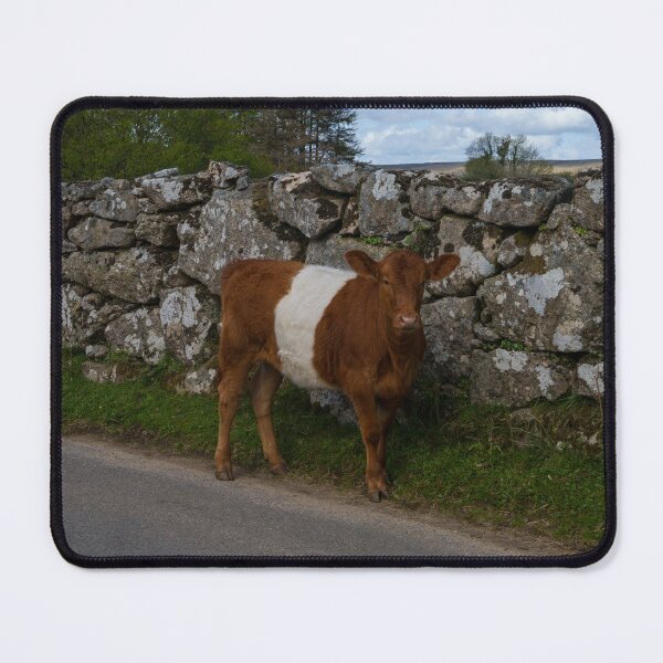 Item preview, Belted Galloway Cow - Oreo Cow designed and sold by rawshutterbug.