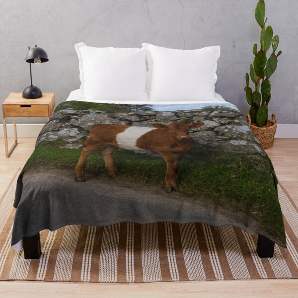 Item preview, Belted Galloway Cow - Oreo Cow designed and sold by rawshutterbug.