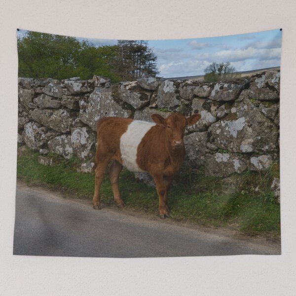 Item preview, Belted Galloway Cow - Oreo Cow designed and sold by rawshutterbug.