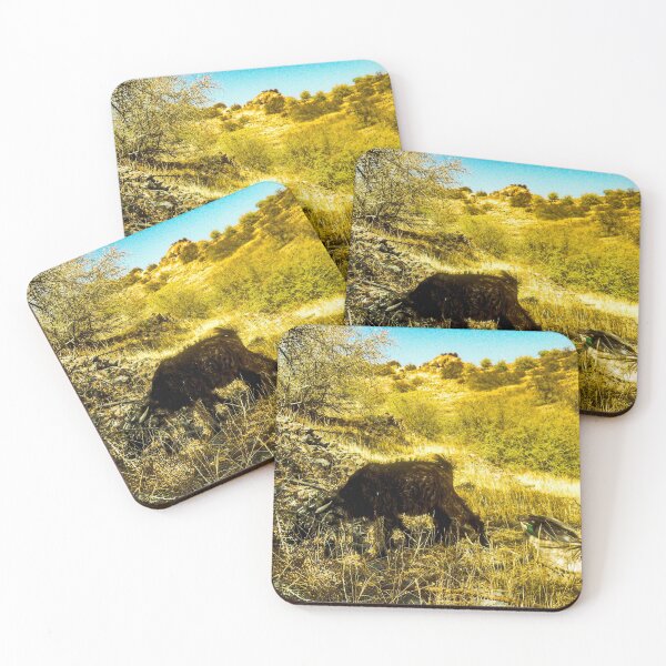 Item preview, A black goat feeding Argan nuts and desert plants in the wild at noon midday in southwest Morocco designed and sold by Alahyane Said.