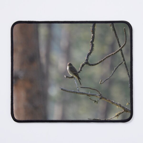Item preview, Bird in Peace designed and sold by lisapicklepizza.