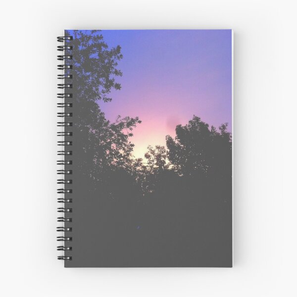 Item preview.