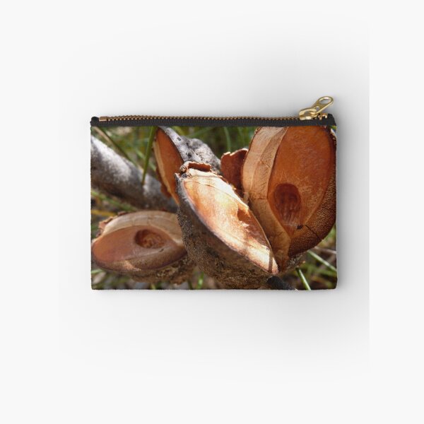 Item preview, Hakea actites designed and sold by andrachne.