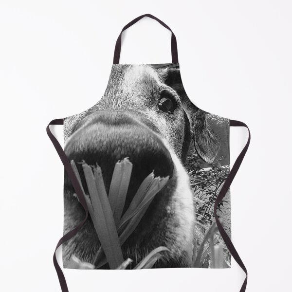 Item preview, JANGO designed and sold by damek.