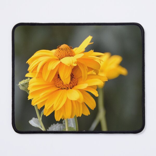 Item preview, Yellow Flowers designed and sold by lisapicklepizza.