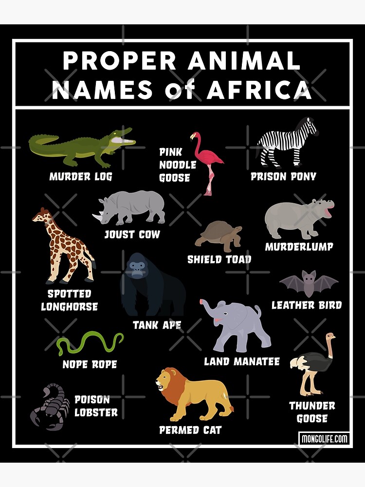 "Proper Animal Names of Africa Funny Infographic" Photographic Print for Sale by mongolife