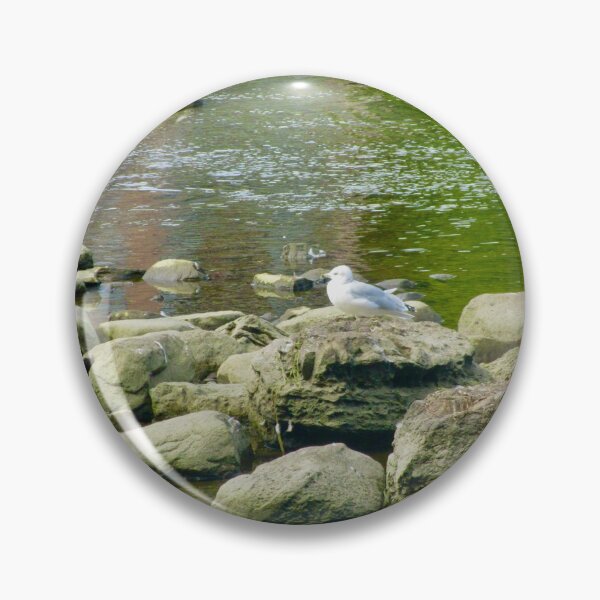 Item preview, Seagulls on the rocks designed and sold by Shulie1.
