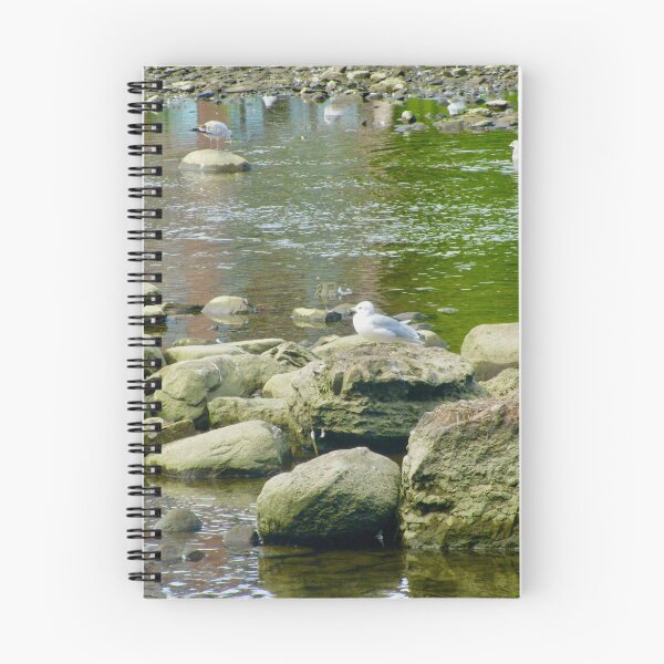 Item preview, Seagulls on the rocks designed and sold by Shulie1.