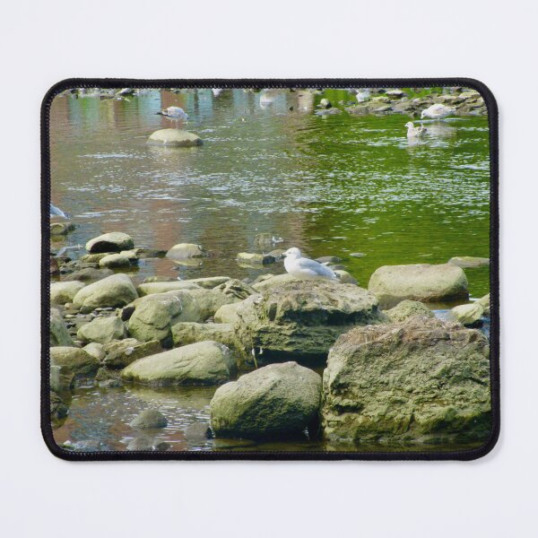 Item preview, Seagulls on the rocks designed and sold by Shulie1.