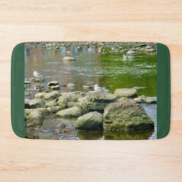 Item preview, Seagulls on the rocks designed and sold by Shulie1.